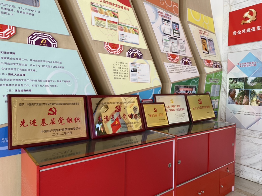 华坪芒果精品深加工   你想吃啥“样式”的芒果都有3.JPG.JPG