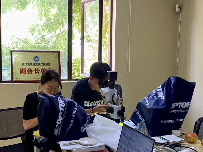 华坪芒果精品深加工   你想吃啥“样式”的芒果都有4.JPG.JPG