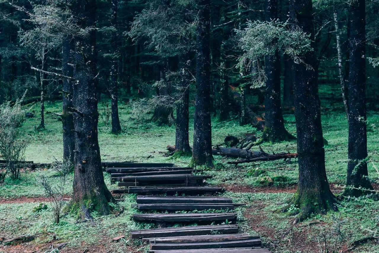 8月14日起  云杉坪索道将严格按预定时段提供候乘服务.jpg
