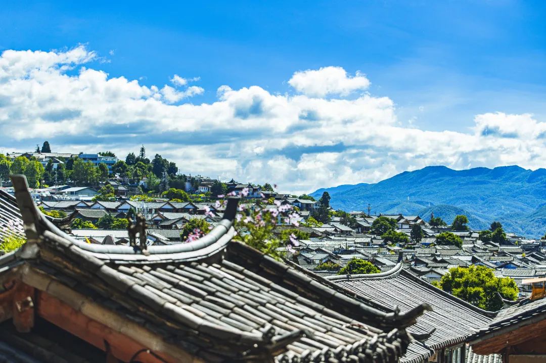 第四届“爱在丽江•中国七夕情诗会”爱情诗接力赛正式启动 (4).jpg