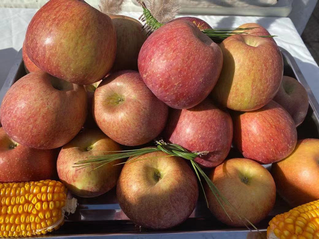 2023丰采•文化第三届红水塘苹果节暨丽宁十八弯摩托车越野邀请赛即将来袭 (6).jpg