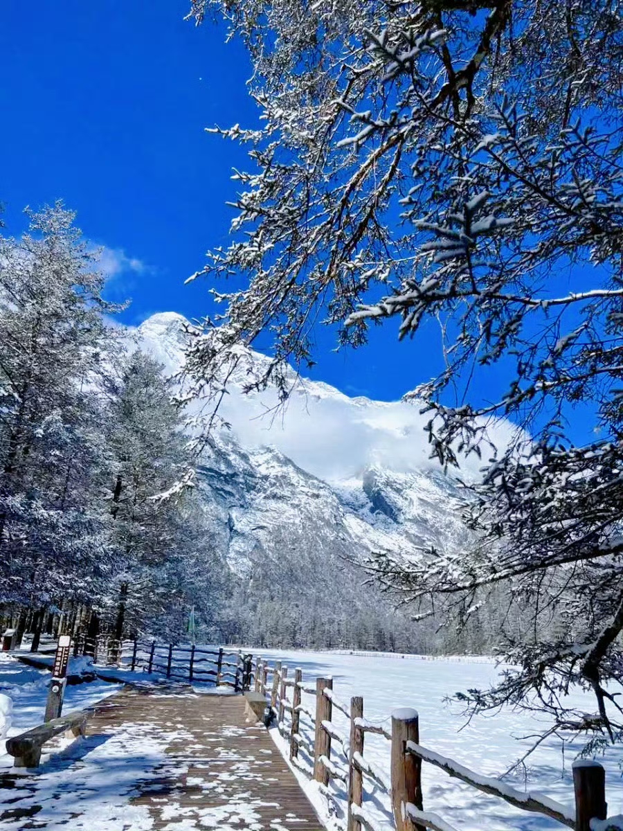 在玉龙雪山，感受童话般的冬日雪景！ (2).jpg