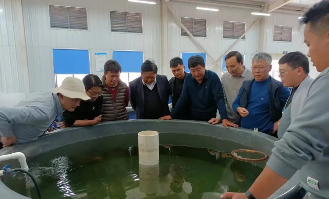 丽江泸沽湖人工繁殖项目通过验收，保护珍稀土著鱼类成功 (2).jpg