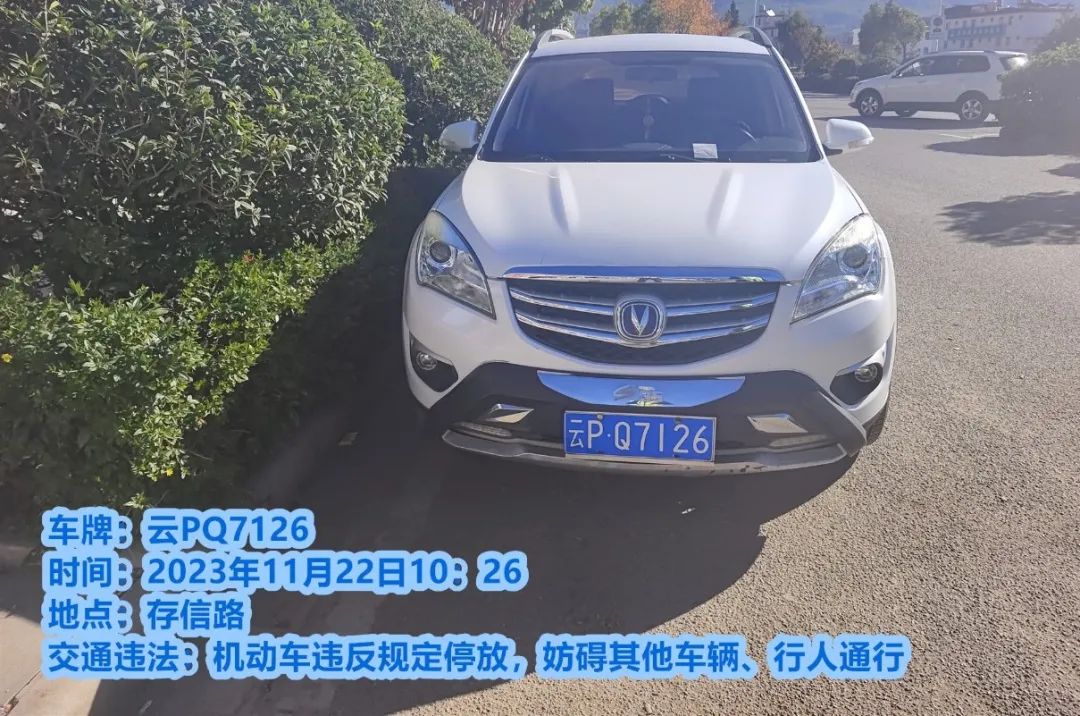 第11期丽江机动车违停曝光台 (10).jpg