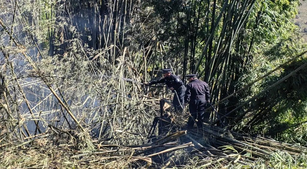 警民齐心！华坪船房乡竹林起火被迅速扑灭 (2).jpg