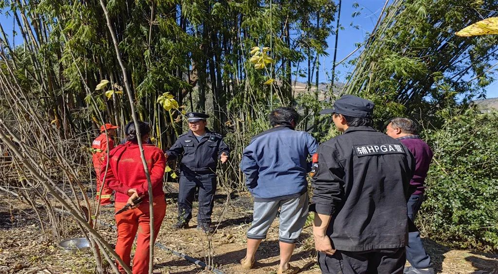 警民齐心！华坪船房乡竹林起火被迅速扑灭 (3).jpg