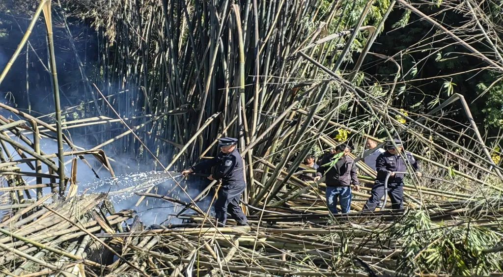 警民齐心！华坪船房乡竹林起火被迅速扑灭.jpg