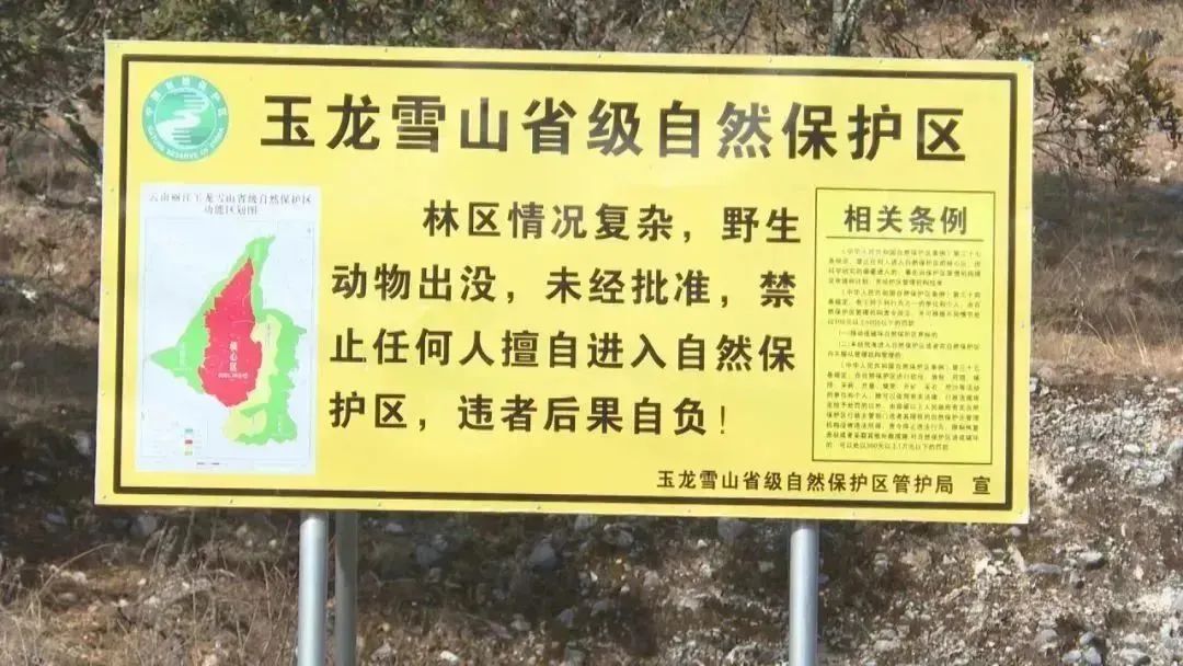 玉龙雪山保护区：违规徒步引发迷路失联，处罚！ (3).jpg