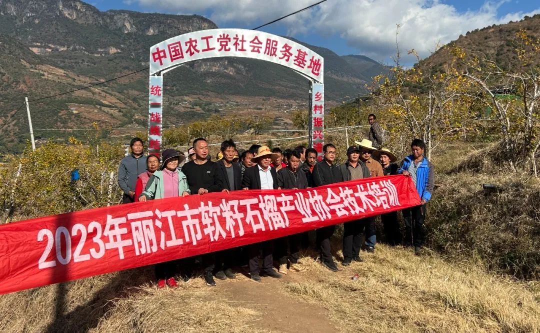 丽江市软籽石榴产业协会助力乡村振兴，推动永胜产业发展 (4).jpg