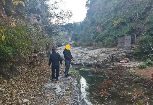 偷鱼 偷电锯……贪图小利终被罚 (1).png