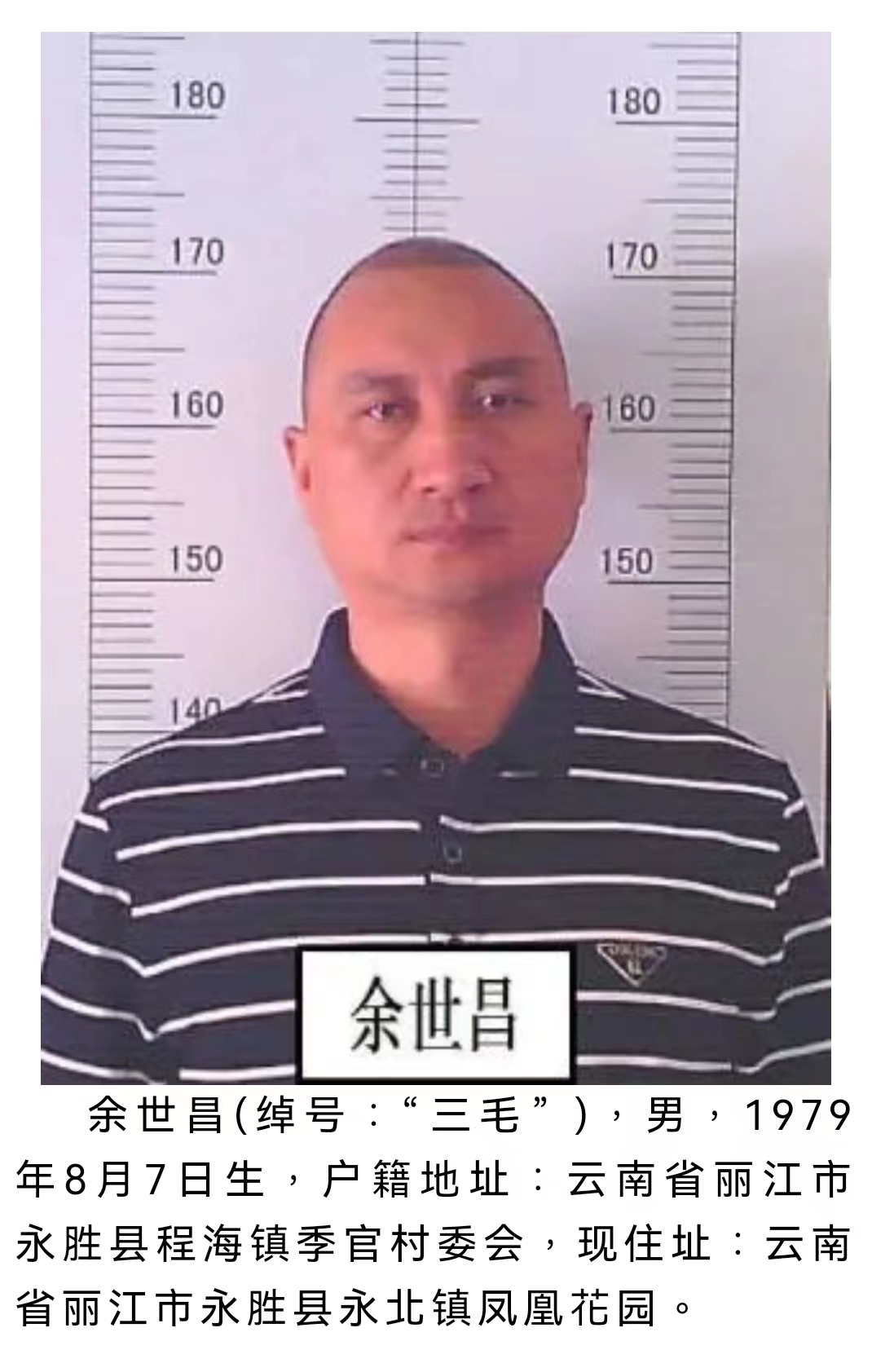 丽江警方公开征集该犯罪团伙犯罪线索 被欺负过的速来举报 (3).jpg