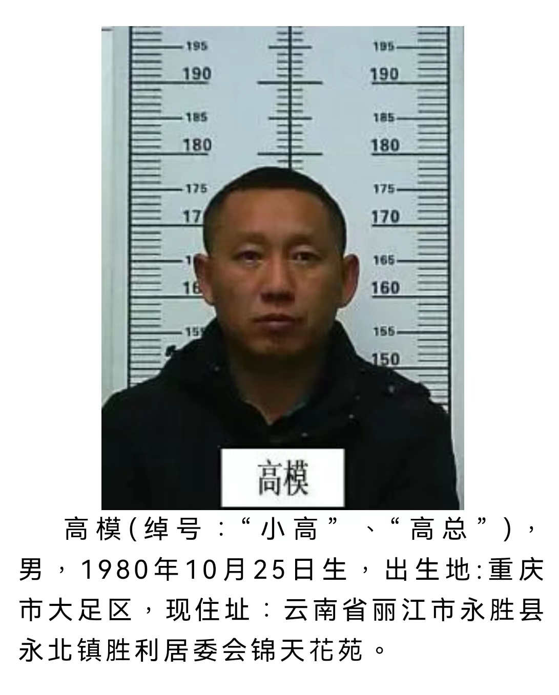 丽江警方公开征集该犯罪团伙犯罪线索 被欺负过的速来举报 (4).jpg