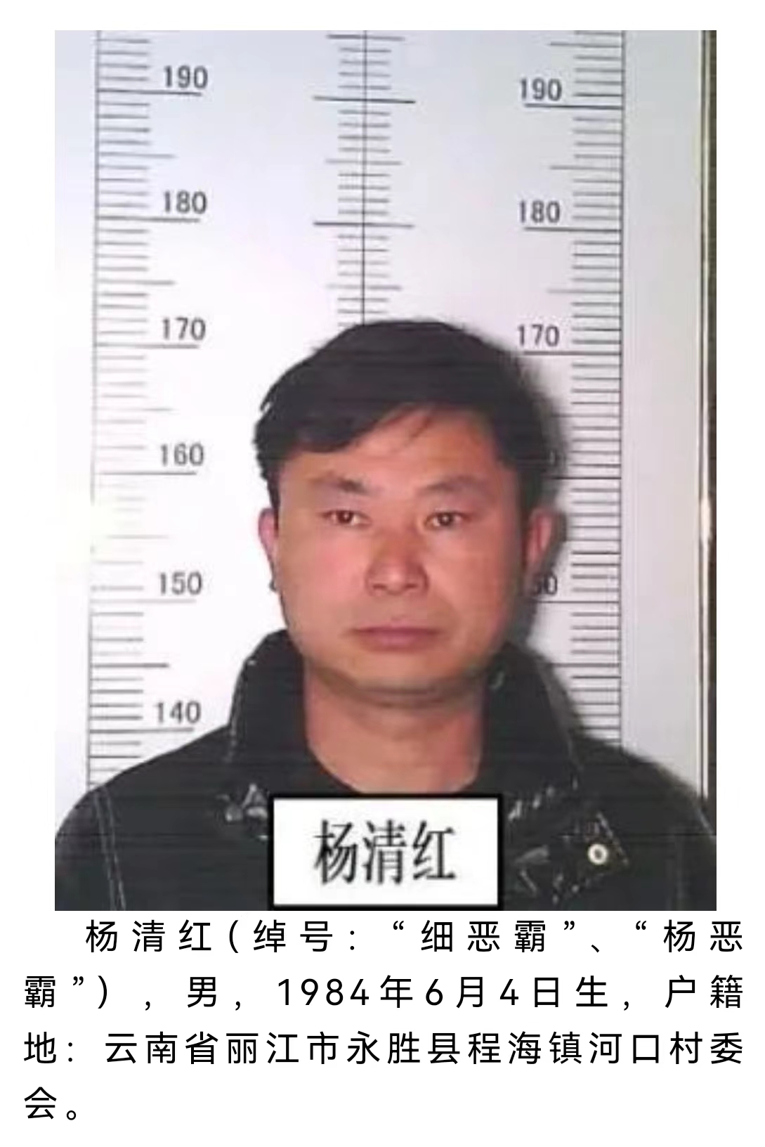 丽江警方公开征集该犯罪团伙犯罪线索 被欺负过的速来举报 (5).jpg