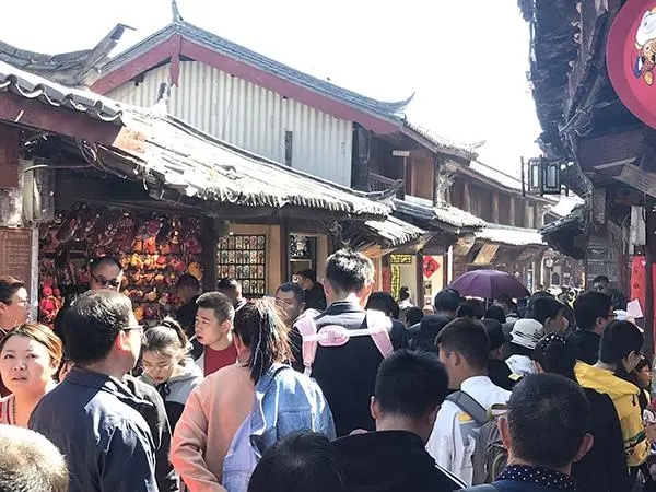 清明假期丽江接待游客93.89万人次.webp.jpg