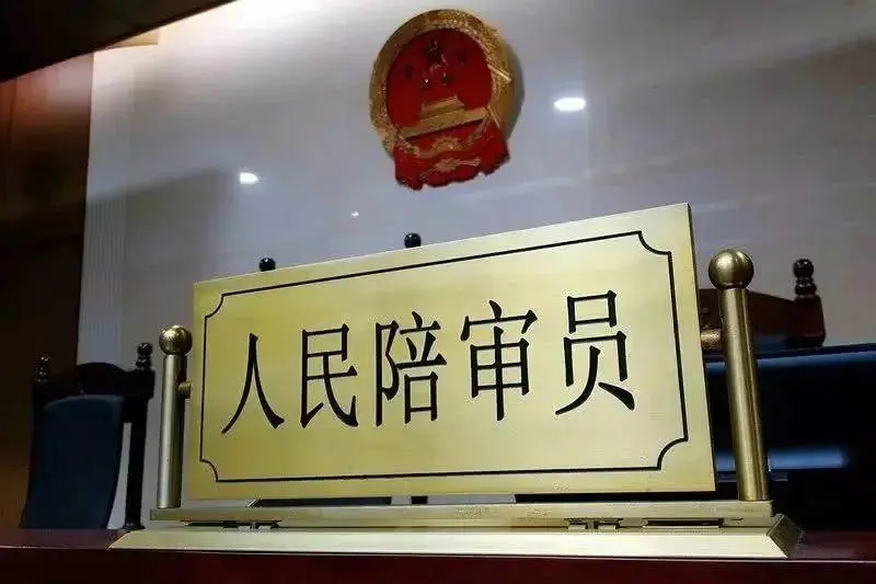 人民陪审员.webp.jpg