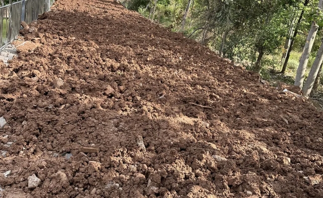 违法占耕私搭乱建的花园餐厅  拆！ (1).png