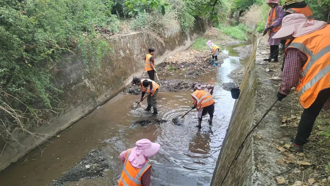 共创安全宜居家园！束河街道开展生态环保行动01.jpg