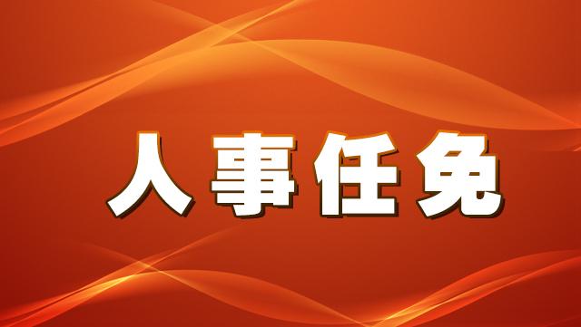 丽江市政府发布一批人事任免通知