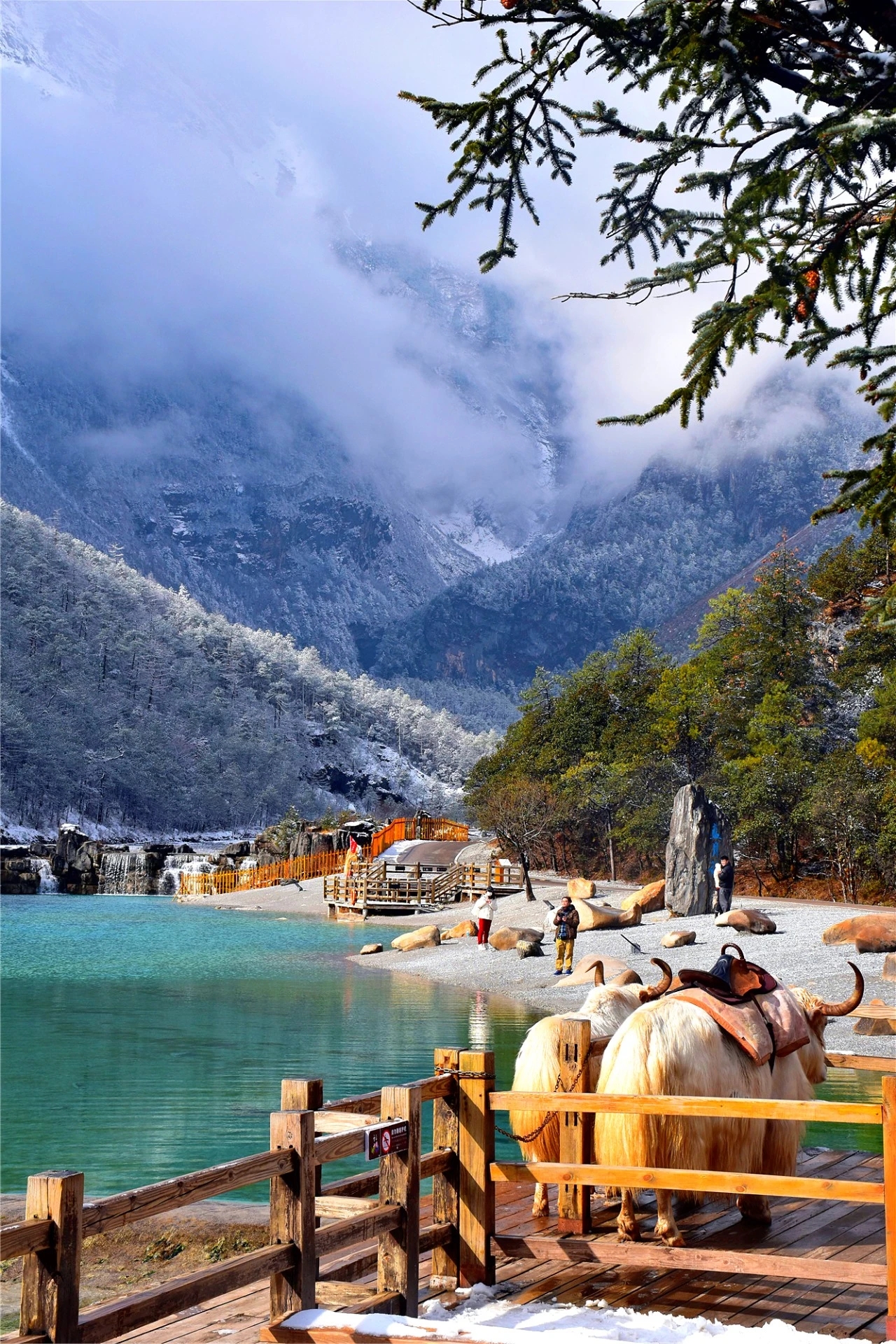 端午假期即将来临 丽江成热门目的地之一01.jpg