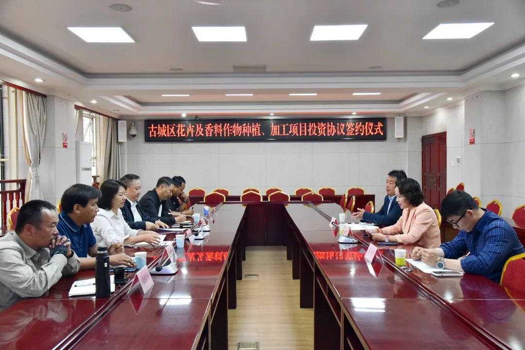 签约！古城区花卉及香料作物种植、加工产业再添新动能01.jpg