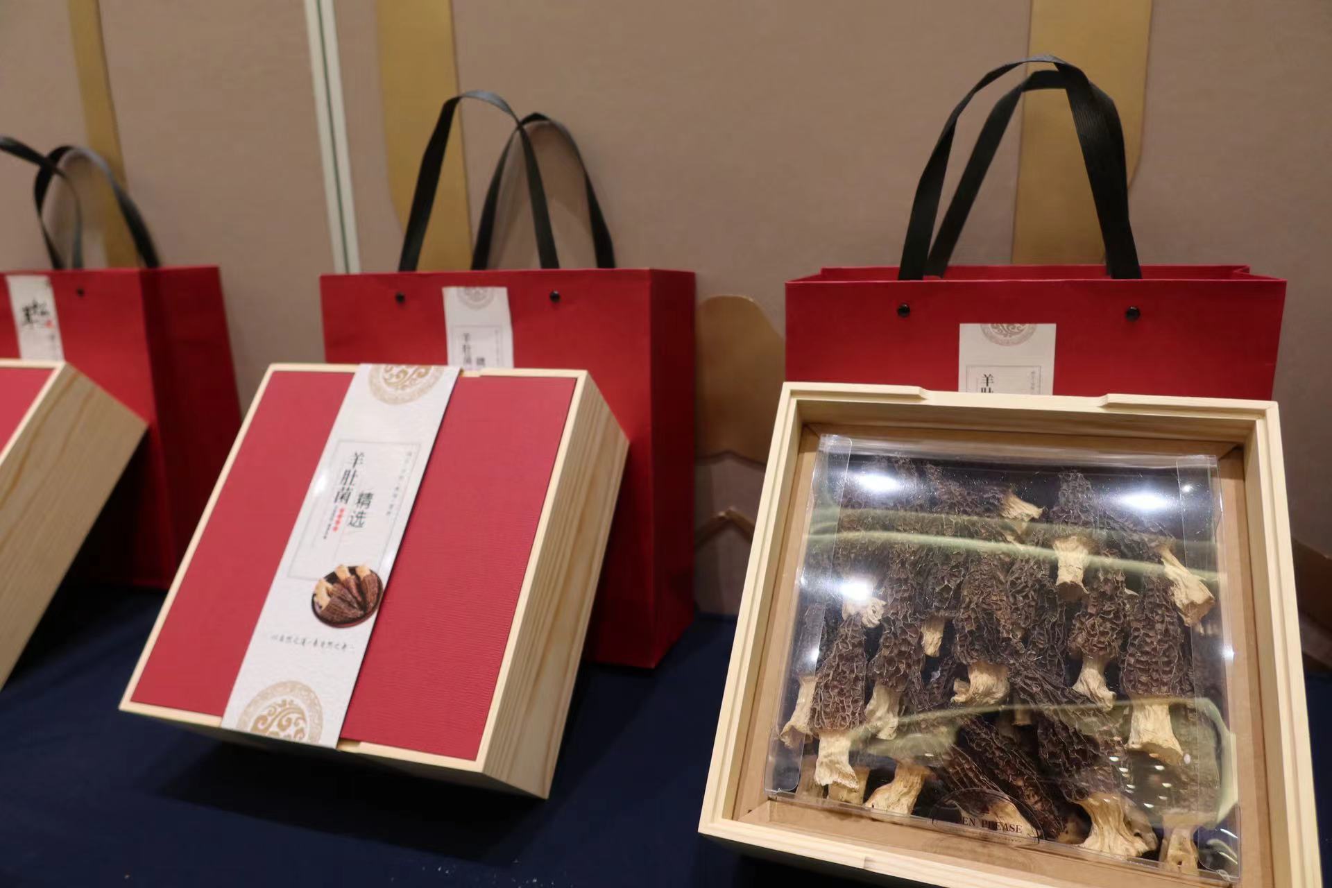 2024·世界丽江 遇见松茸·IP营销研学季盛大开幕4.jpg