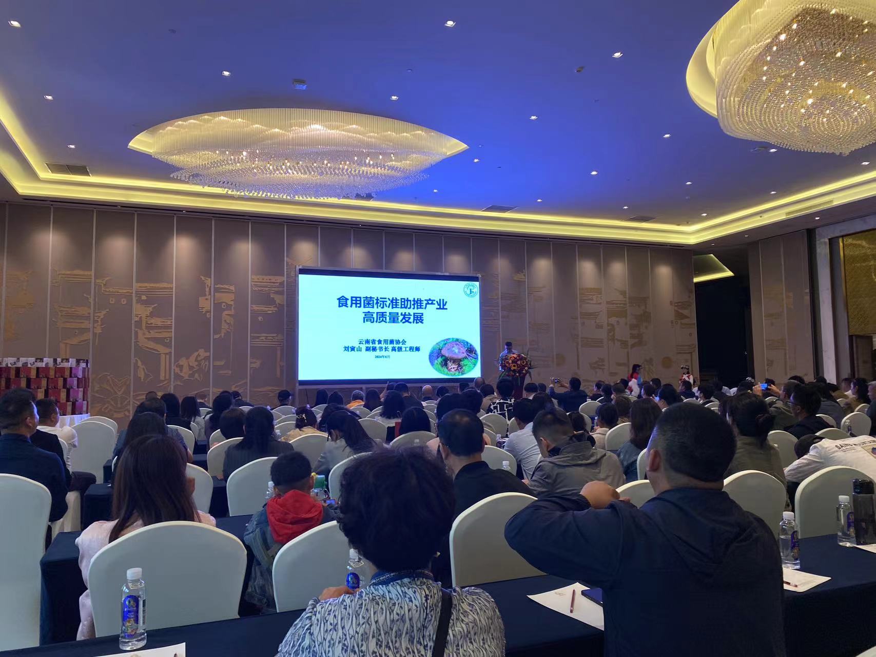 2024·世界丽江 遇见松茸·IP营销研学季盛大开幕5.jpg
