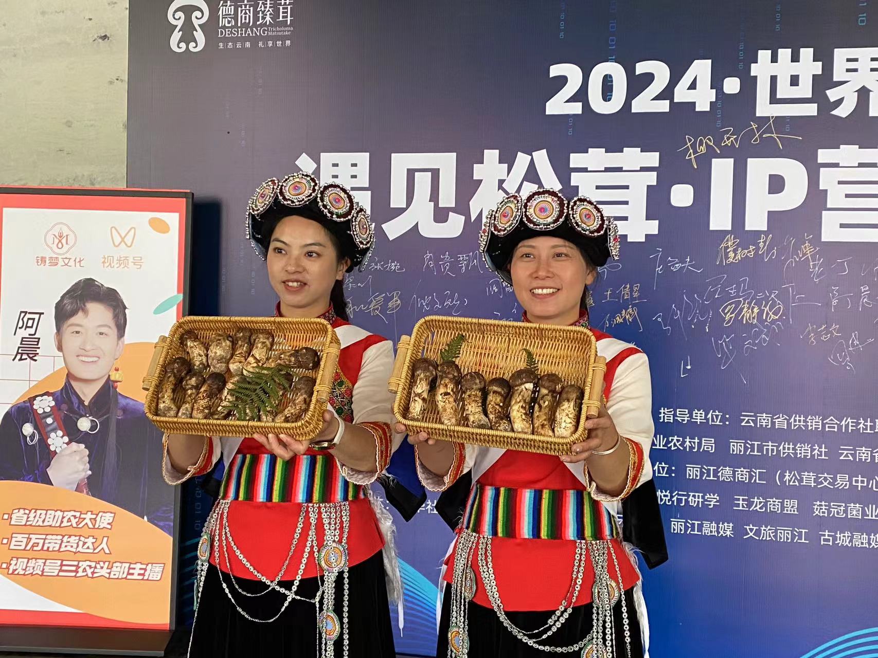 2024·世界丽江 遇见松茸·IP营销研学季盛大开幕8.jpg