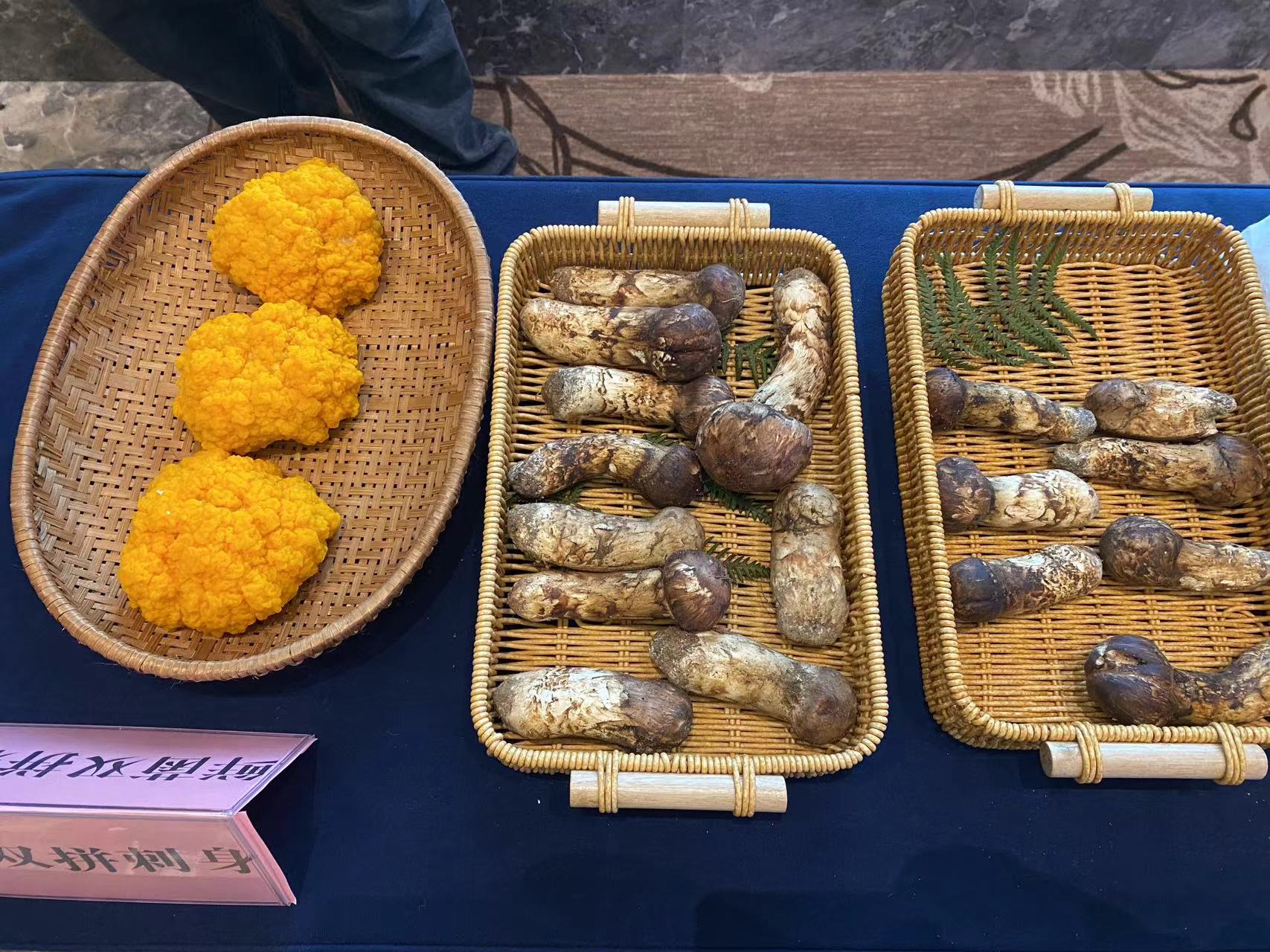 2024·世界丽江 遇见松茸·IP营销研学季盛大开幕7.jpg