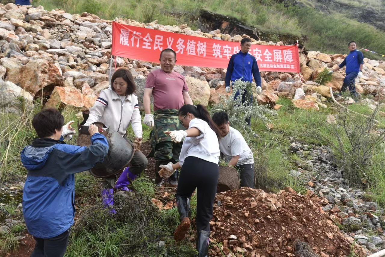 盛夏绿动古城：千余干部群众共植新绿，绘就绿美家园新篇章01.jpg