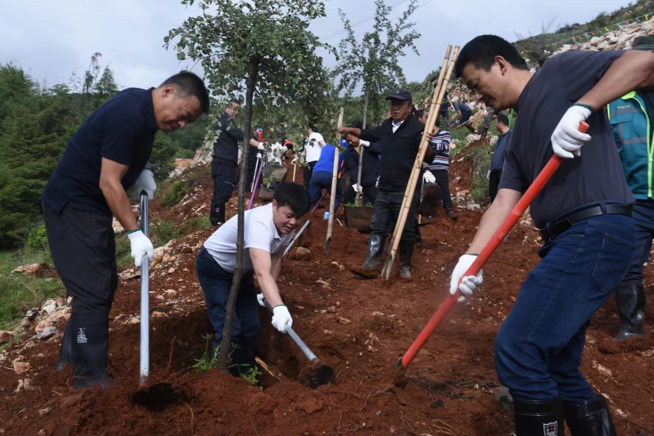 盛夏绿动古城：千余干部群众共植新绿，绘就绿美家园新篇章02.jpg