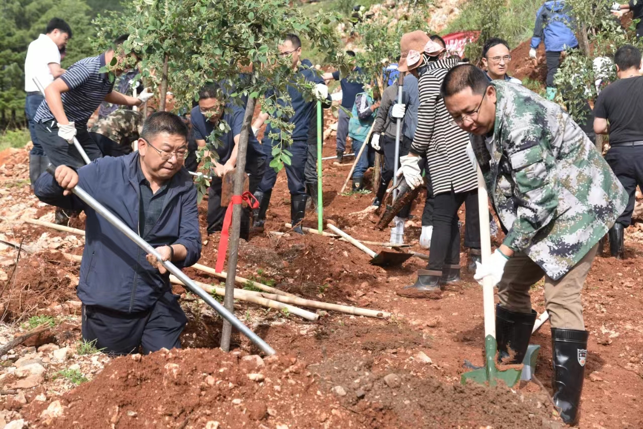 盛夏绿动古城：千余干部群众共植新绿，绘就绿美家园新篇章03.jpg