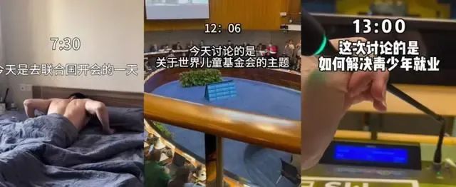 花26美元进联合国“开会”？网红卖弄假“精英”人设早晚要崩塌.jpg