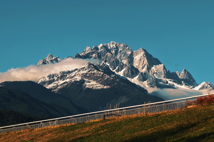 冬天的中济海公园  总会给你一点“颜色”看看 (4).jpg