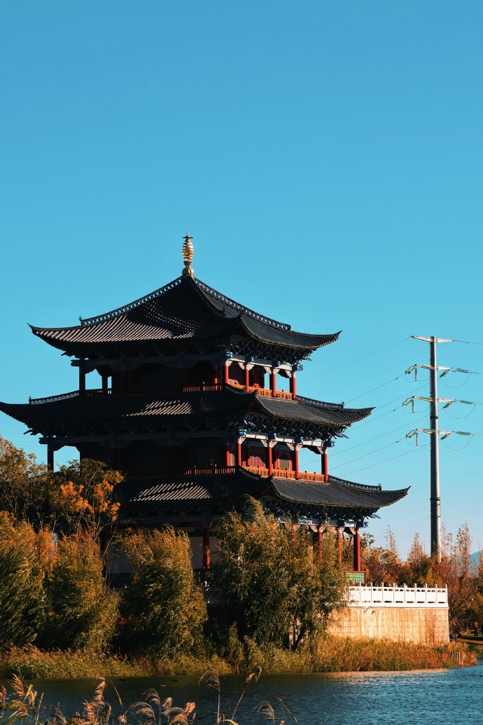 冬天的中济海公园  总会给你一点“颜色”看看 (2).jpg