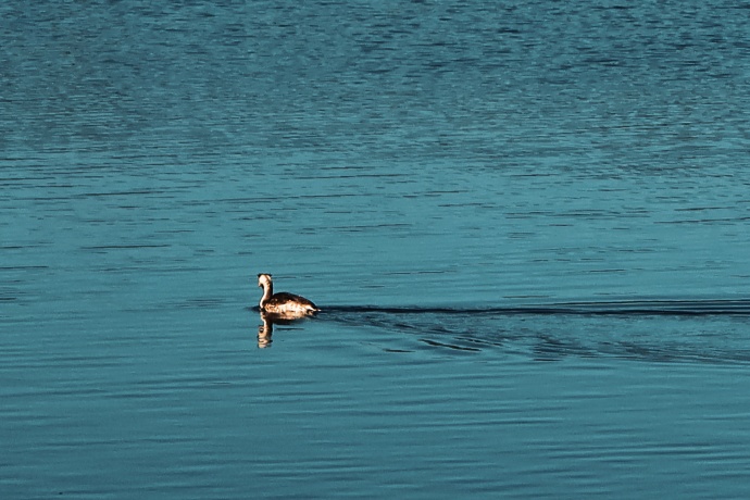 冬天的中济海公园  总会给你一点“颜色”看看 (3).jpg