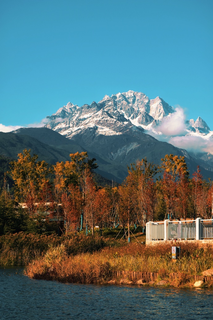 冬天的中济海公园  总会给你一点“颜色”看看 (5).jpg