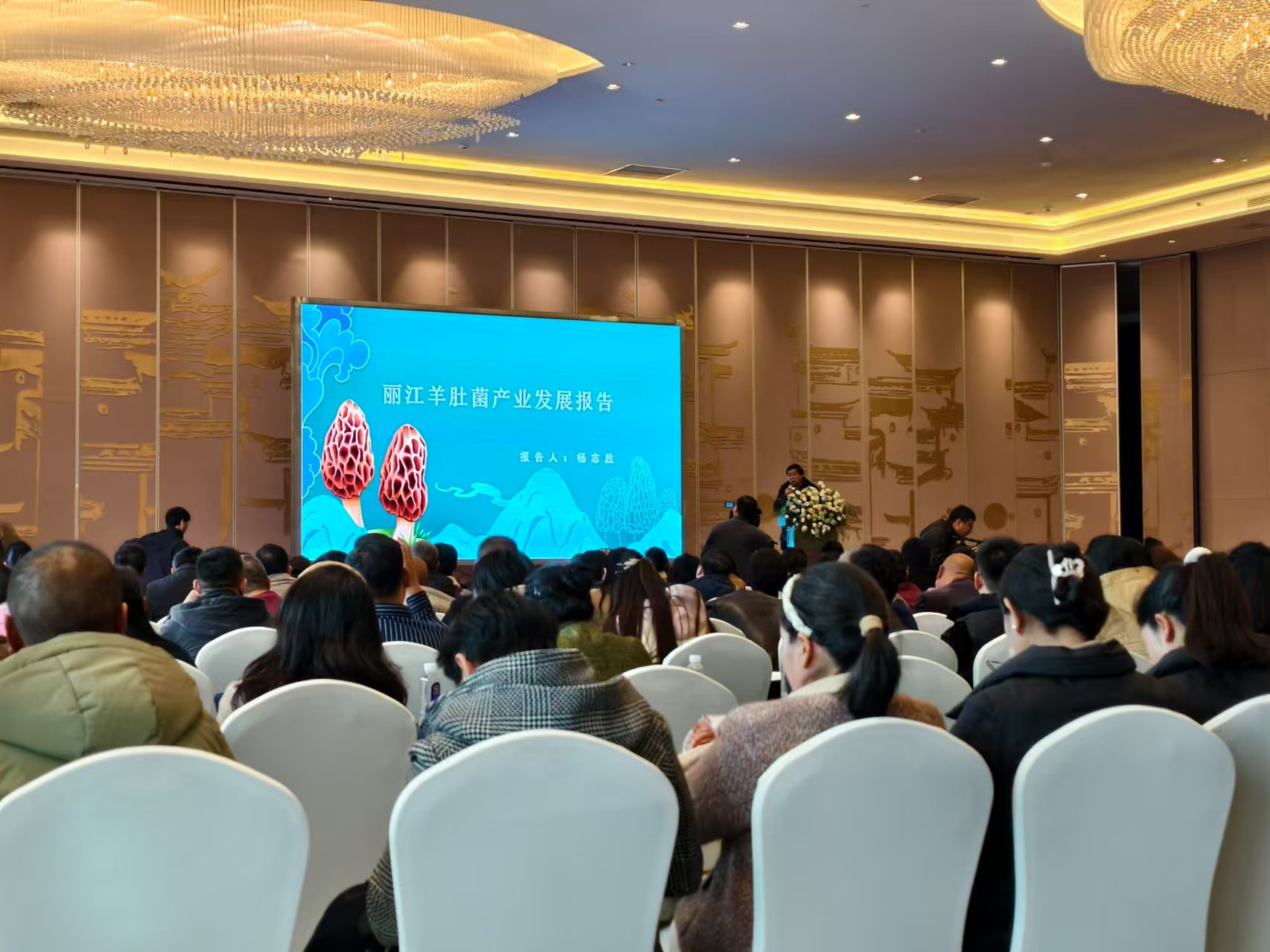 2024丽江高原羊肚菌产业溯源大会召开 (5).jpg