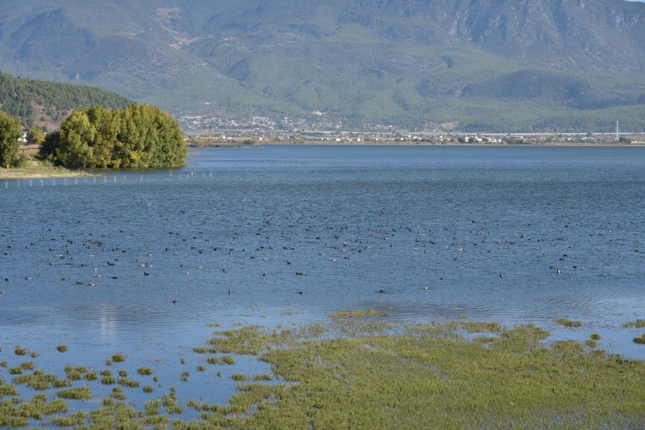 丽江拟增加两个国家4A级旅游景区 (2).jpg