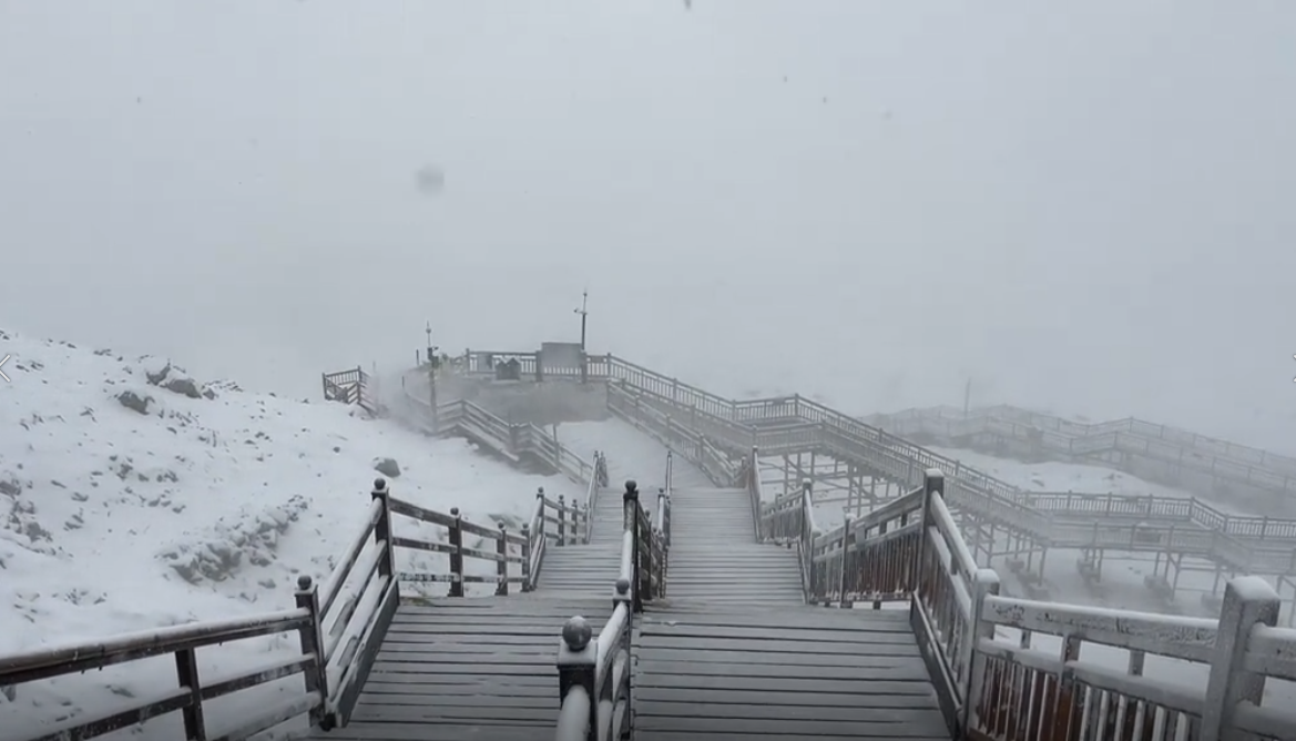 丽江迎来2025年初雪 (2).png