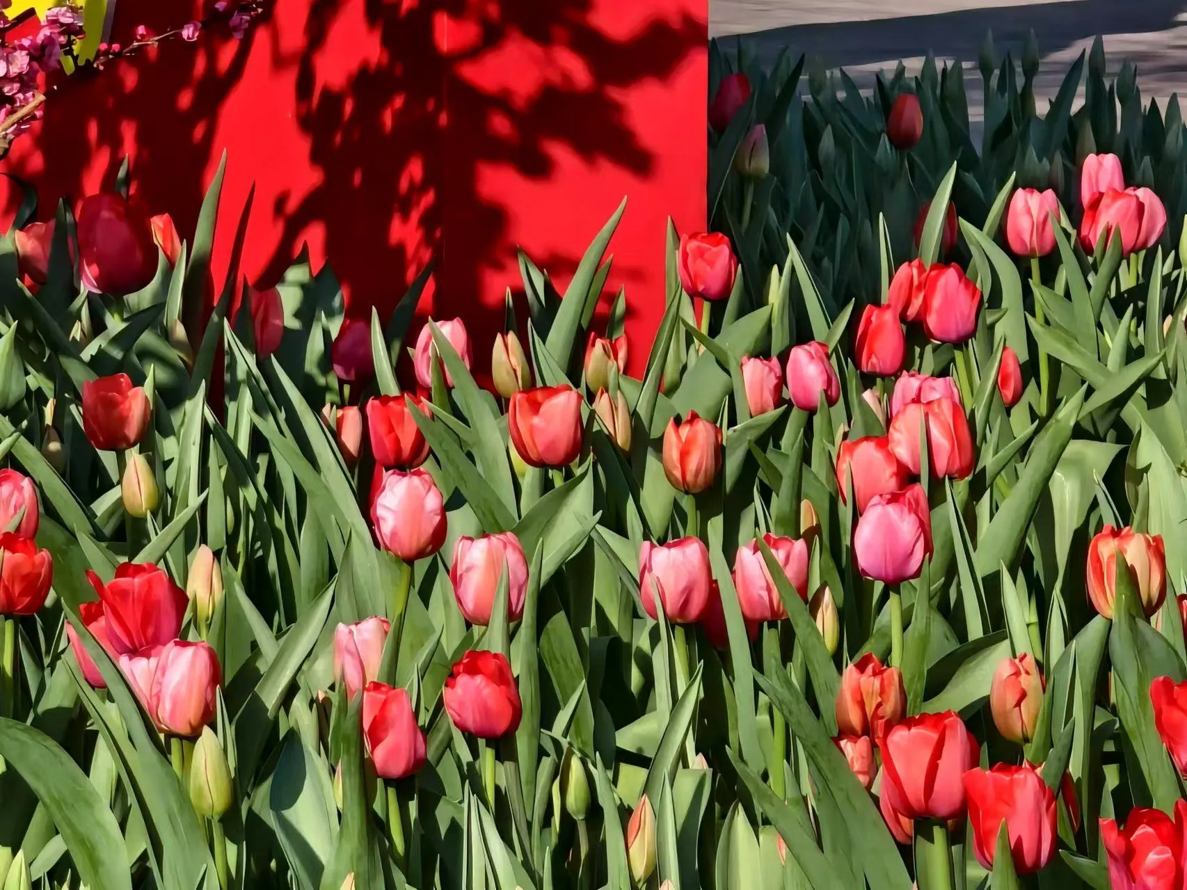 143443xzqp50eqaauq00in.webp
