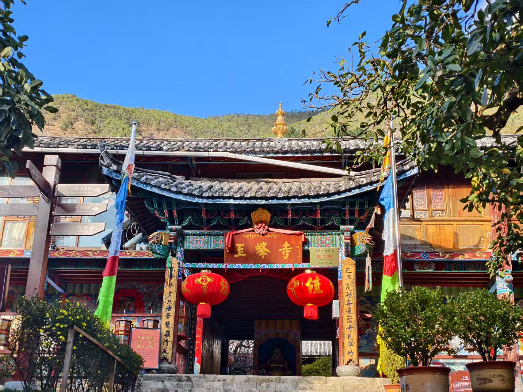 万朵山茶映古刹 玉峰寺内春色灼灼6.jpg