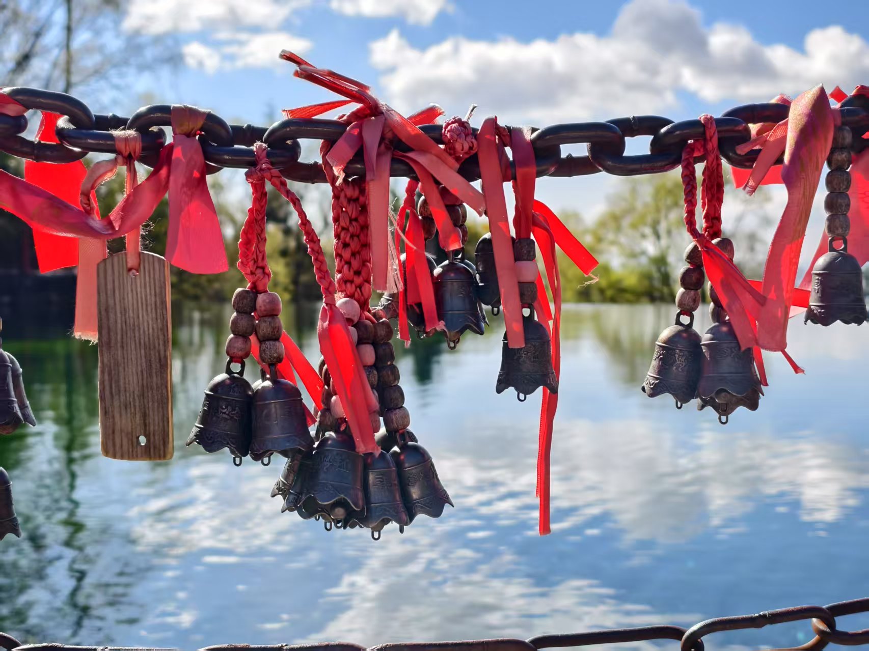 丽江的春天从来不是季节 而是一场值得奔赴的相遇 (4).jpg