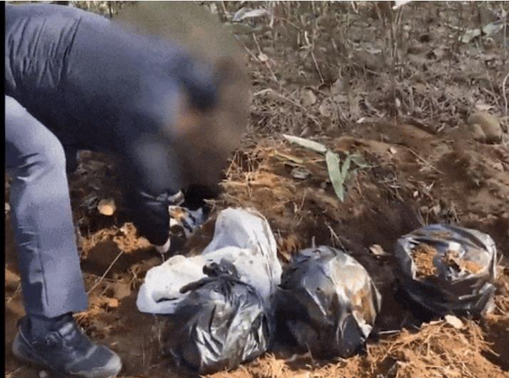 2名中国男子夜潜韩国寺庙偷骨灰 勒索200万美元1.jpg