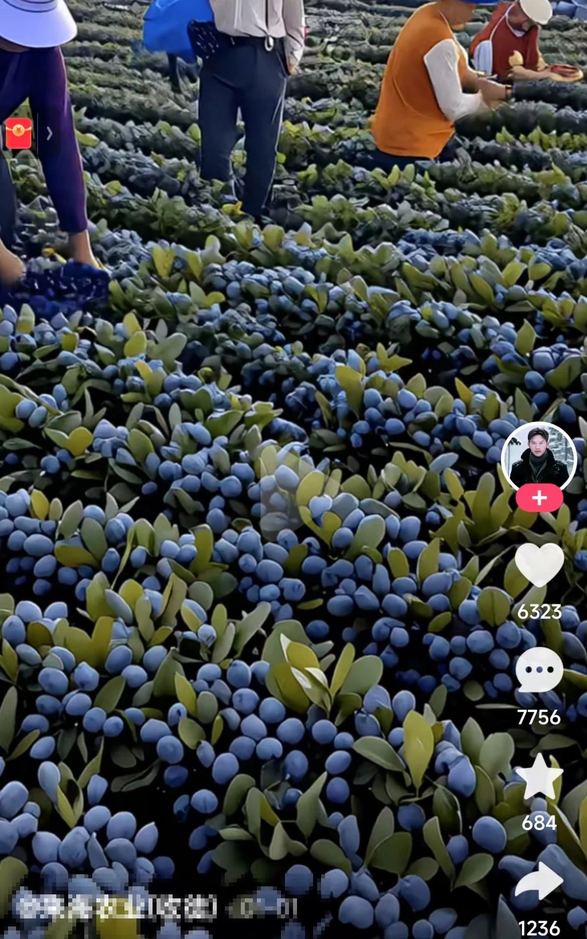 春耕乱象，速成 “农技专家” 的坑农陷阱与破局之道1.jpg