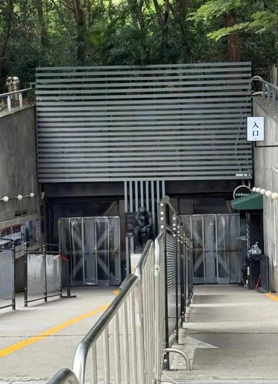 告别网红滤镜，先锋书店用 “禁商拍” 守护阅读本真.png