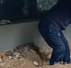 新房院子惊现人骨！业主崩溃：这房谁敢住？开发商回应更气人…1.png