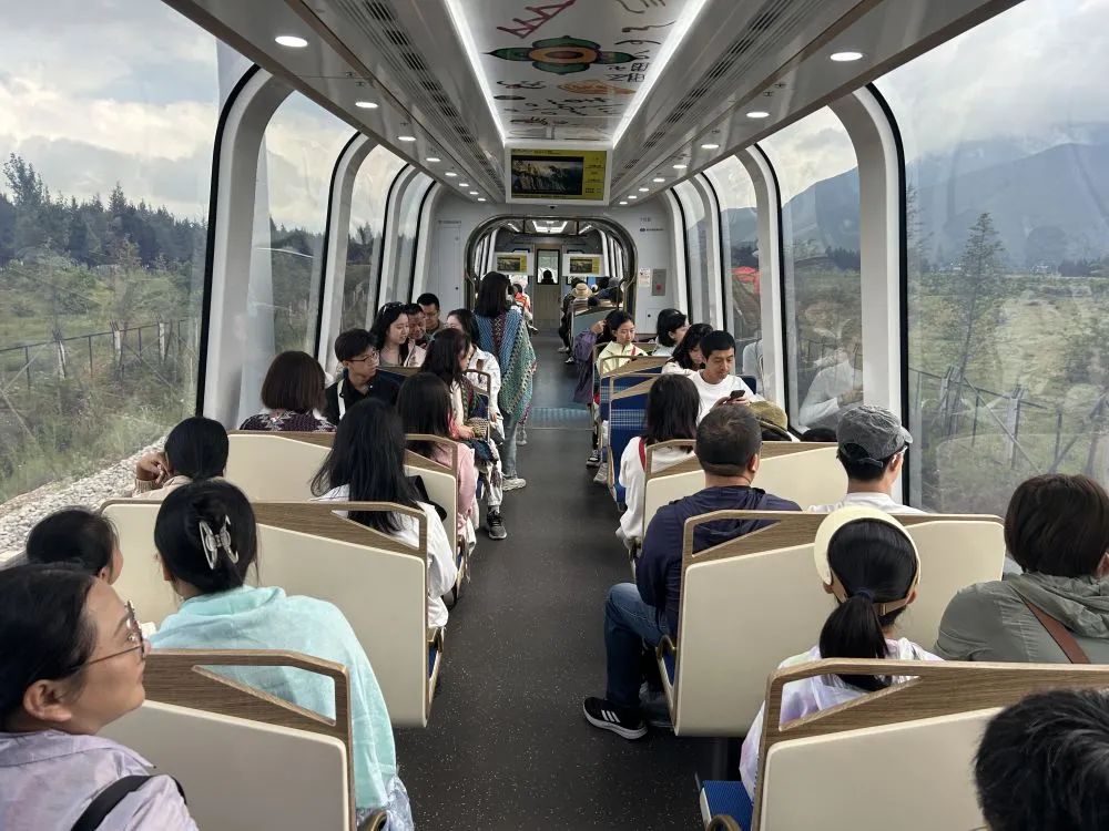 丽江雪山观光火车：暑期日均 3000 人次打卡的移动风景线 (1).jpg