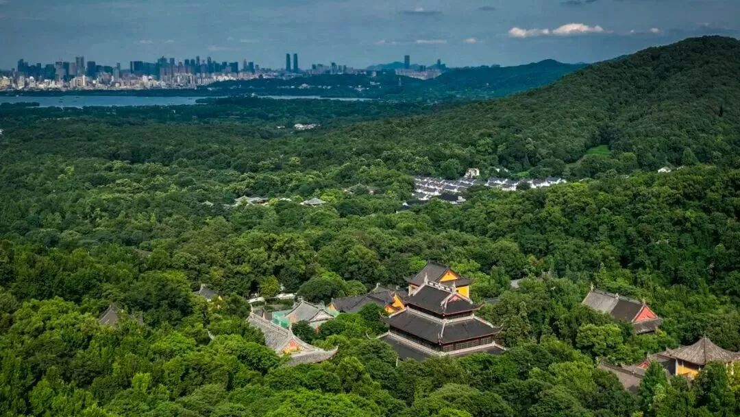 游客立省75元，城市撬动大经济！灵隐寺免票背后的杭州远见