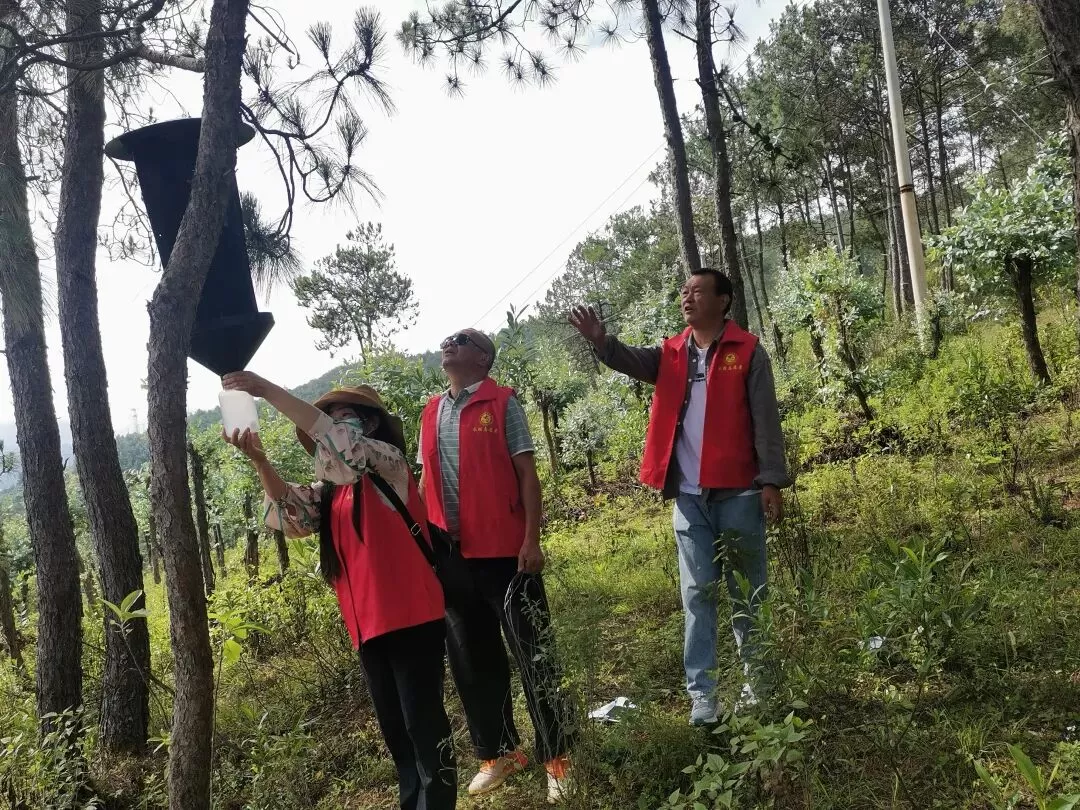 一人一站皆标杆！丽江林草系统斩获国家级殊荣