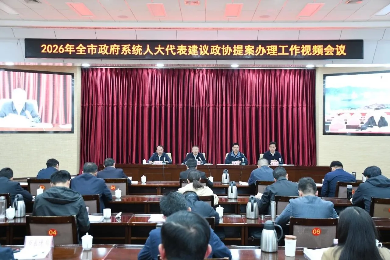 2026年全市政府系统人大代表建议政协提案办理工作视频会议强调：履职尽责提质效 实干 ... ...